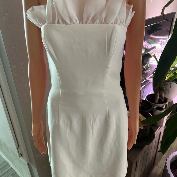 FRENCH CONNECTION
Whisper Organza Strapless Dress - Picture 2 of 8